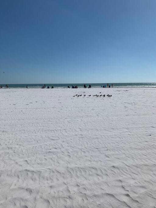 サラソータ Rowena House 2Bd Den 2Bth Heated Pool Near Siesta Keyヴィラ エクステリア 写真